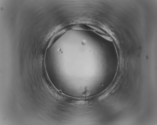 X0000064720153200602171625