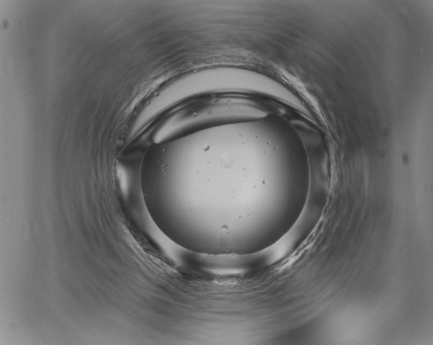 X0000064720154200602171625