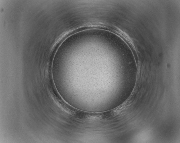 X0000064720155200602171625