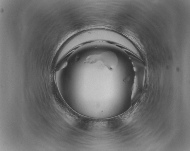 X0000064720156200602171625