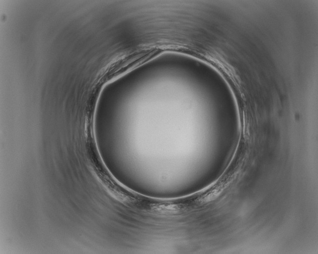 X0000064720157200602171625