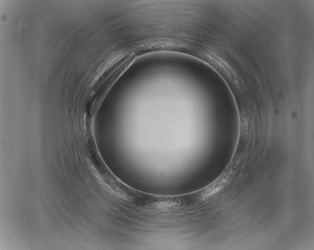 X0000064720158200602171625