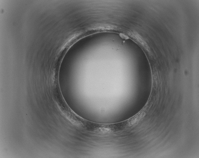 X0000064720159200602171625