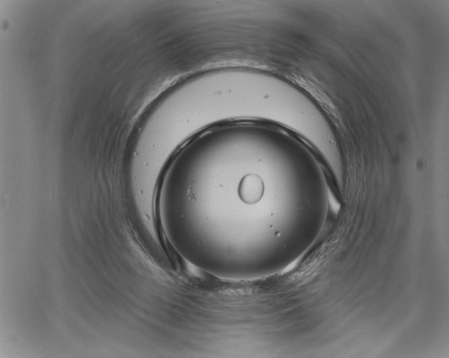 X0000064720160200602171625