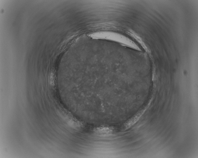 X0000064720161200602171625