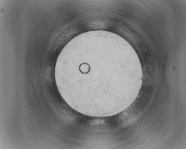 X0000064720162200602171625