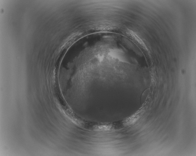 X0000064720163200602171625