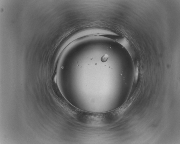 X0000064720164200602171625