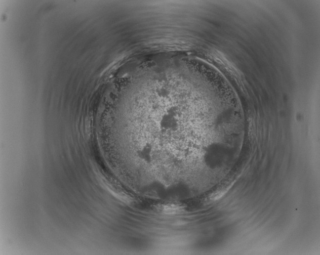 X0000064720165200602171625