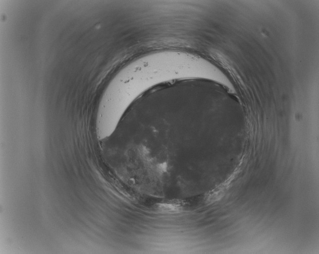 X0000064720167200602171625