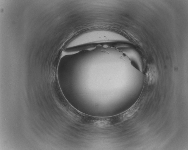 X0000064720168200602171625