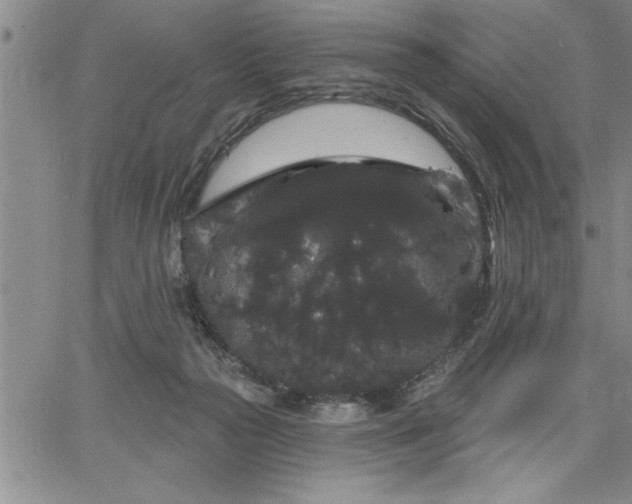 X0000064720169200602171625