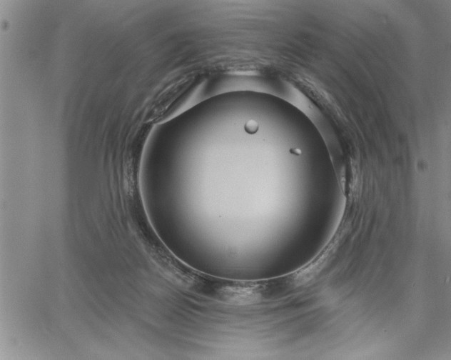 X0000064720170200602171625