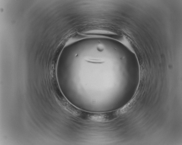 X0000064720171200602171625