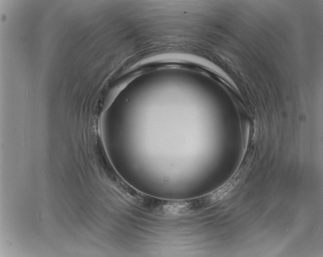 X0000064720172200602171625