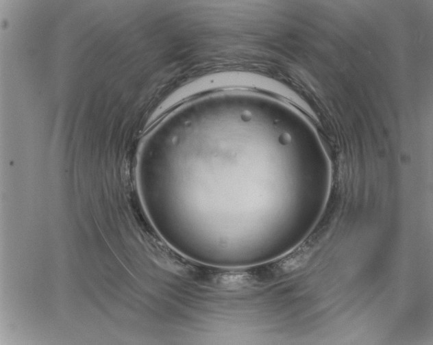 X0000064720173200602171625