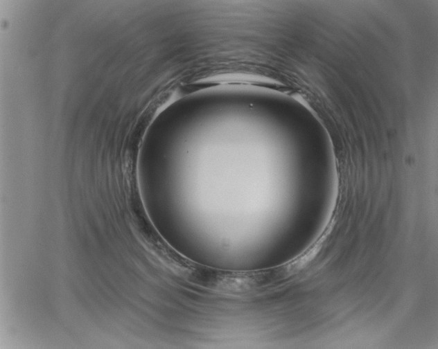 X0000064720174200602171625