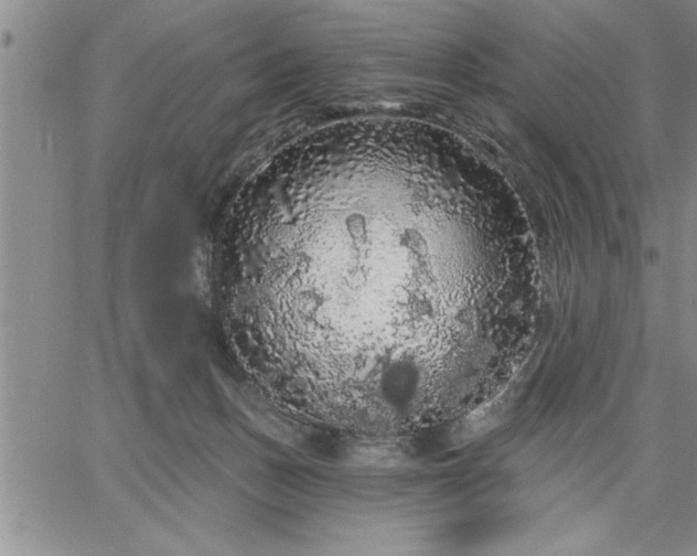 X0000064720175200602171625