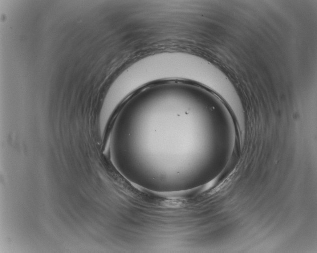 X0000064720176200602171625