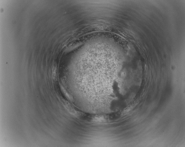 X0000064720177200602171625