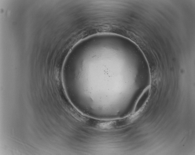 X0000064720178200602171625