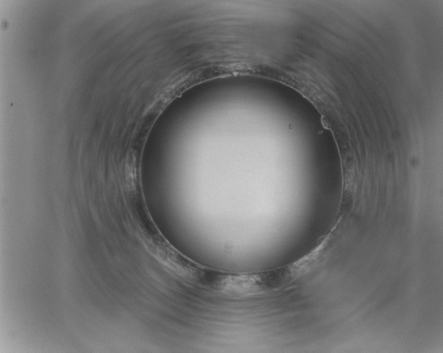 X0000064720179200602171625