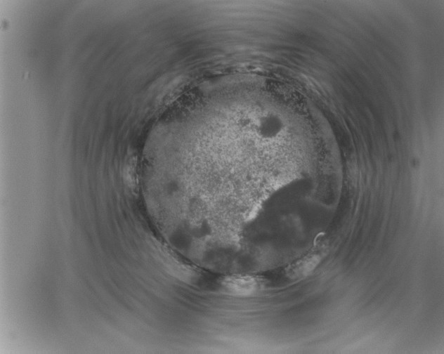 X0000064720181200602171625