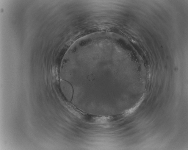 X0000064720182200602171625