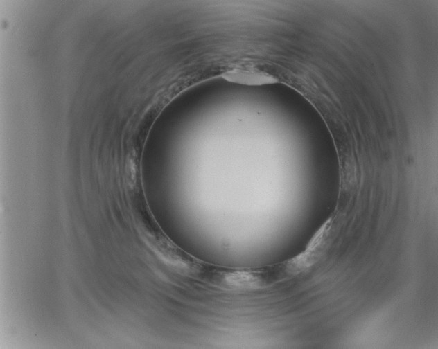 X0000064720183200602171625