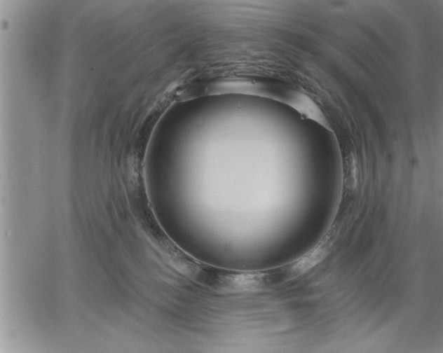 X0000064720184200602171625