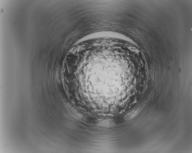 X0000064720185200602171625