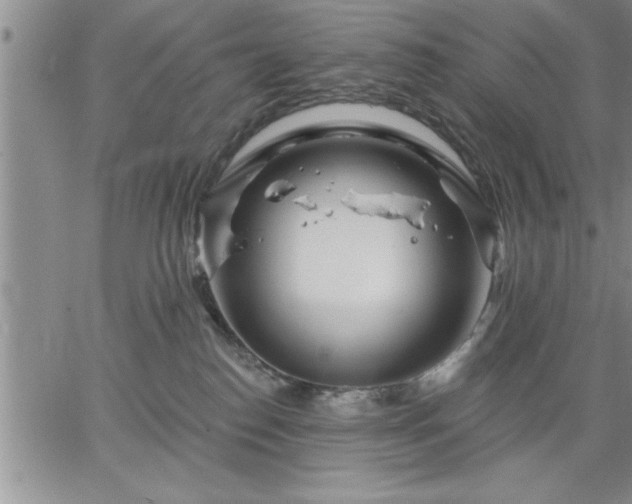 X0000064720186200602171625