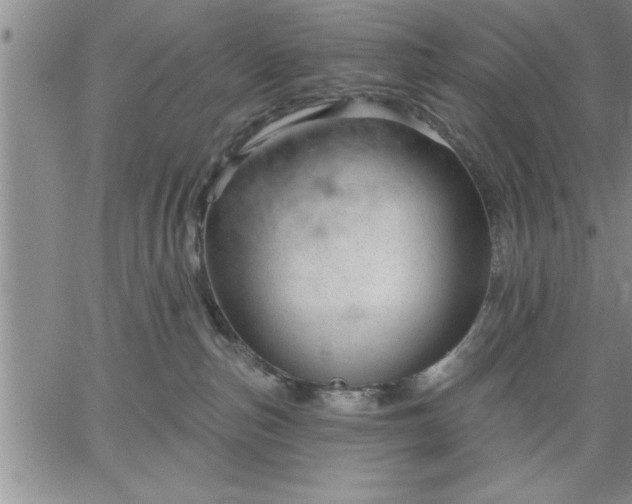 X0000064720187200602171625