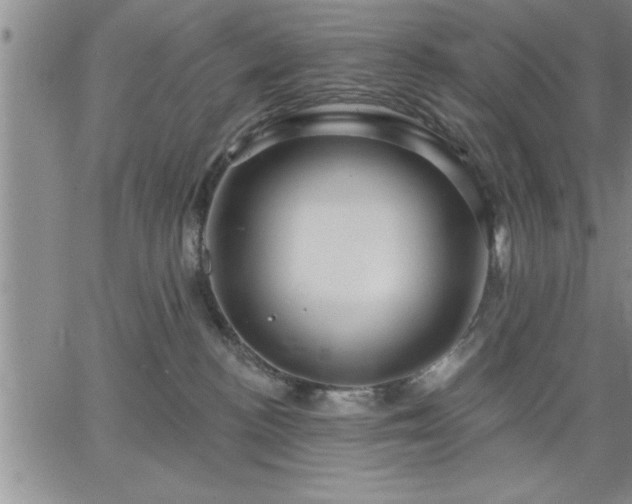 X0000064720188200602171625