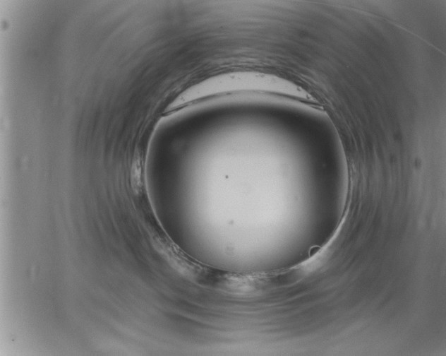 X0000064720190200602171625