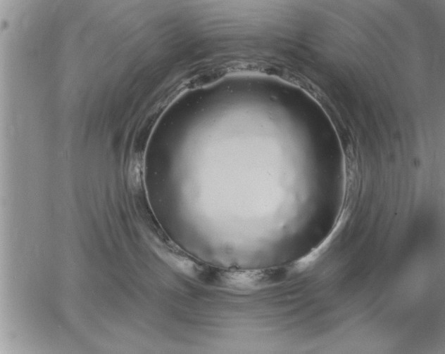 X0000064720191200602171625