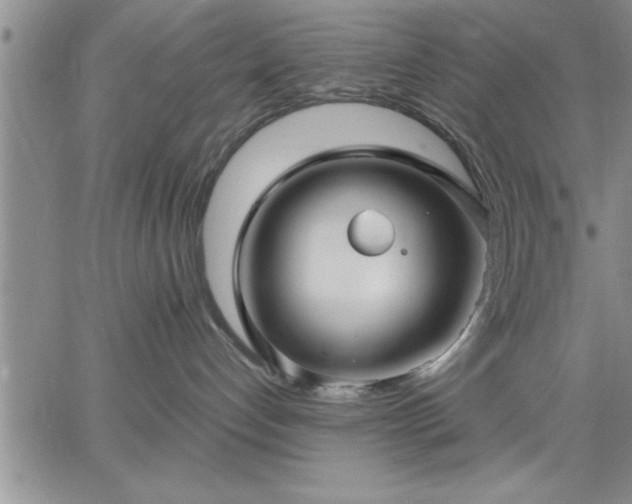 X0000064720192200602171625