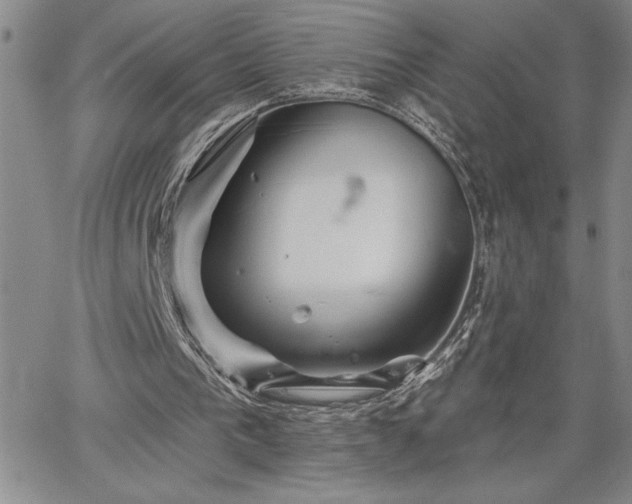 X0000064720193200602171625