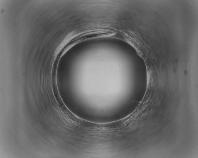 X0000064720195200602171625