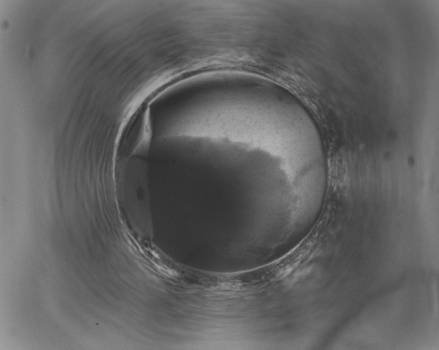 X0000064720196200602171625