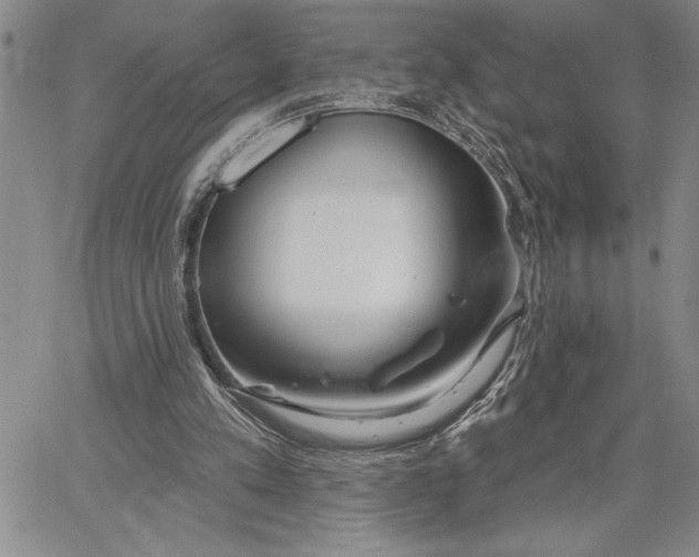 X0000064720197200602171625