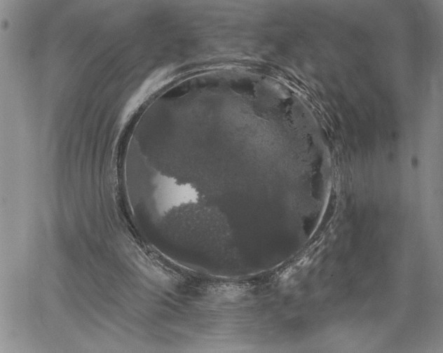 X0000064720198200602171625