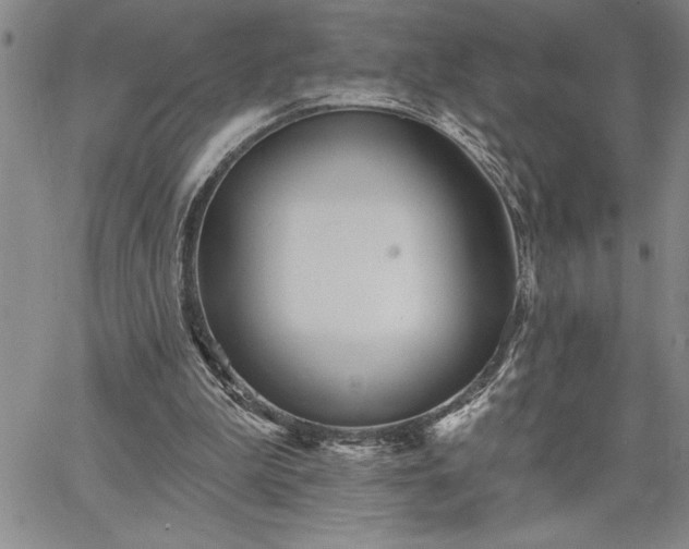 X0000064720199200602171625