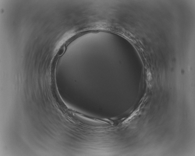 X0000064720200200602171625