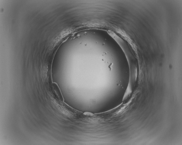 X0000064720201200602171624