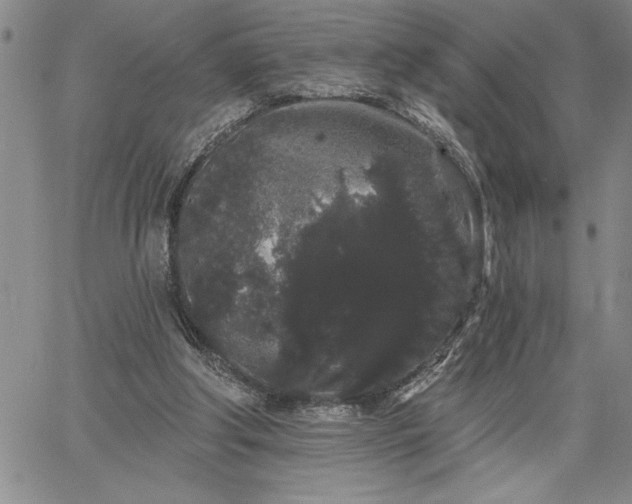 X0000064720202200602171624