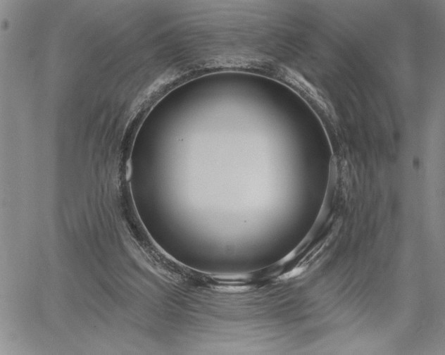 X0000064720203200602171624