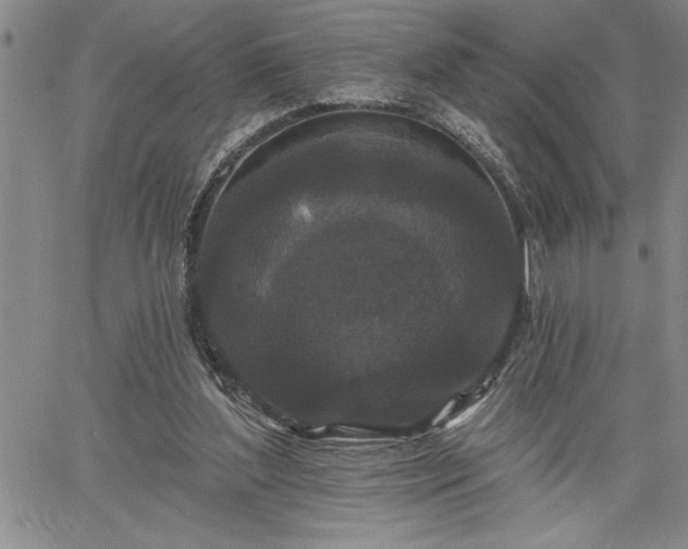 X0000064720204200602171624