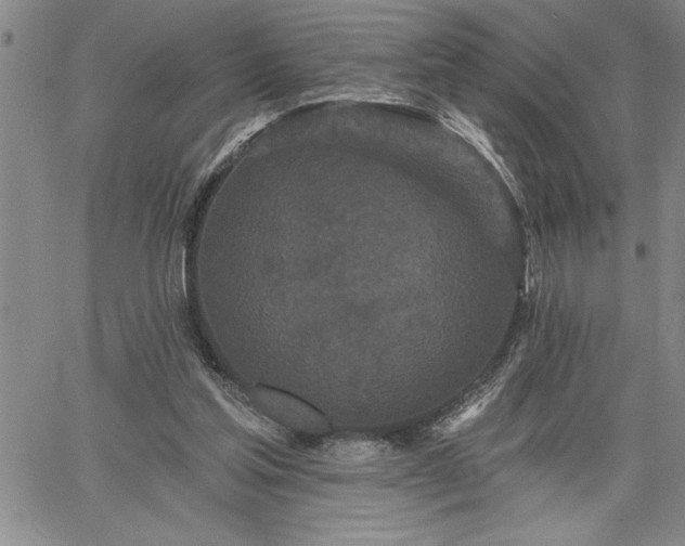 X0000064720205200602171624