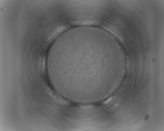 X0000064720206200602171624